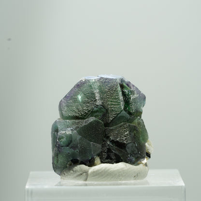 Phantom Fluorit hexagonal, Schörl Turmalin, Muskovit Erongo, Namibia 11*9*8mm #13514