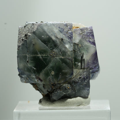 Fluorite fantôme cubique, tourmaline schorl, muscovite Erongo, Namibie 14*13*11mm #13515
