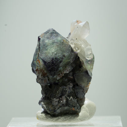 Seltene klare Phantom Fluorit Würfel, Quarz Stufe Erongo, Namibia 13*9*7mm #13517