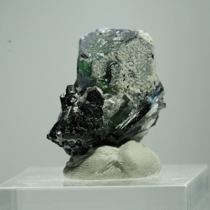 Phantom Fluorit hexagonal, Schörl Turmalin, Muskovit Erongo, Namibia 12*11*8mm #13519