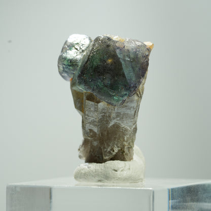 Seltene Phantom Fluorit, Rauchquarz Stufe Erongo, Namibia 13*9*7mm #13520