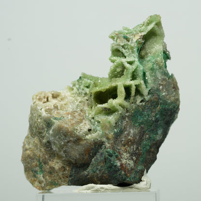 Seltene Malachit, Chrysokoll, Quarz Stufe Kaokoveld, Namibia 27*18*11mm #13527