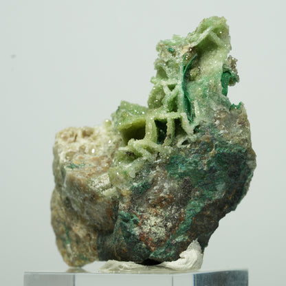 Seltene Malachit, Chrysokoll, Quarz Stufe Kaokoveld, Namibia 27*18*11mm #13527