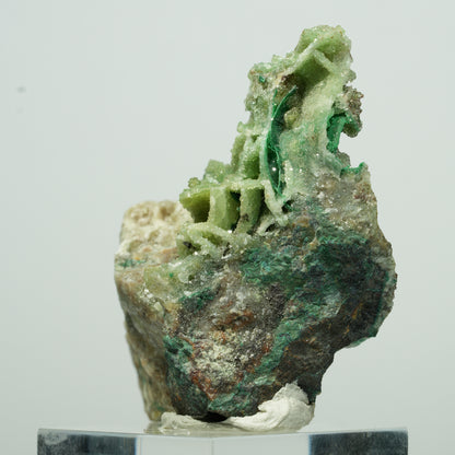 Seltene Malachit, Chrysokoll, Quarz Stufe Kaokoveld, Namibia 27*18*11mm #13527