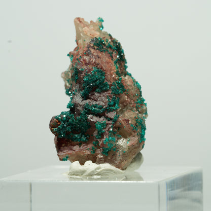Seltene Dioptas auf Quarz Stufe Kaokoveld, Namibia 15*10*7mm #13529