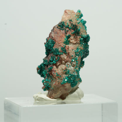 Seltene Dioptas auf Quarz Stufe Kaokoveld, Namibia 15*10*7mm #13529