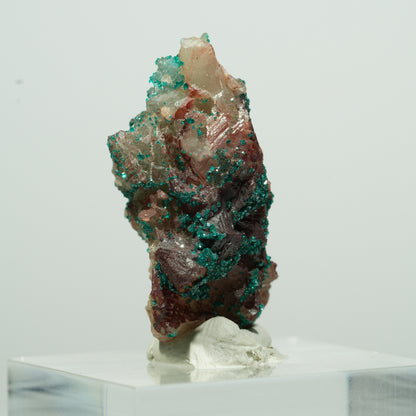 Seltene Dioptas auf Quarz Stufe Kaokoveld, Namibia 15*10*7mm #13529