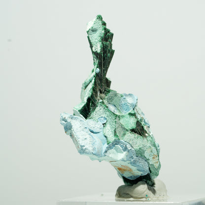 Seltene Malachit, Chrysokoll Stufe Kaokoveld, Namibia 21*11*9mm #13530