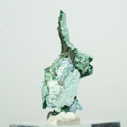 Seltene Malachit, Chrysokoll Stufe Kaokoveld, Namibia 21*11*9mm #13530
