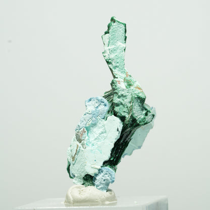 Seltene Malachit, Chrysokoll Stufe Kaokoveld, Namibia 21*11*9mm #13530