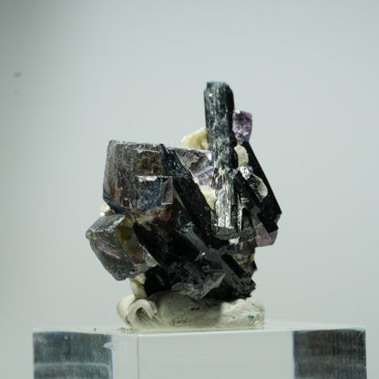 Bunte Phantom Fluorit Würfel, Schörl Turmalin, Muskovit Erongo, Namibia 13*12*10mm #13536