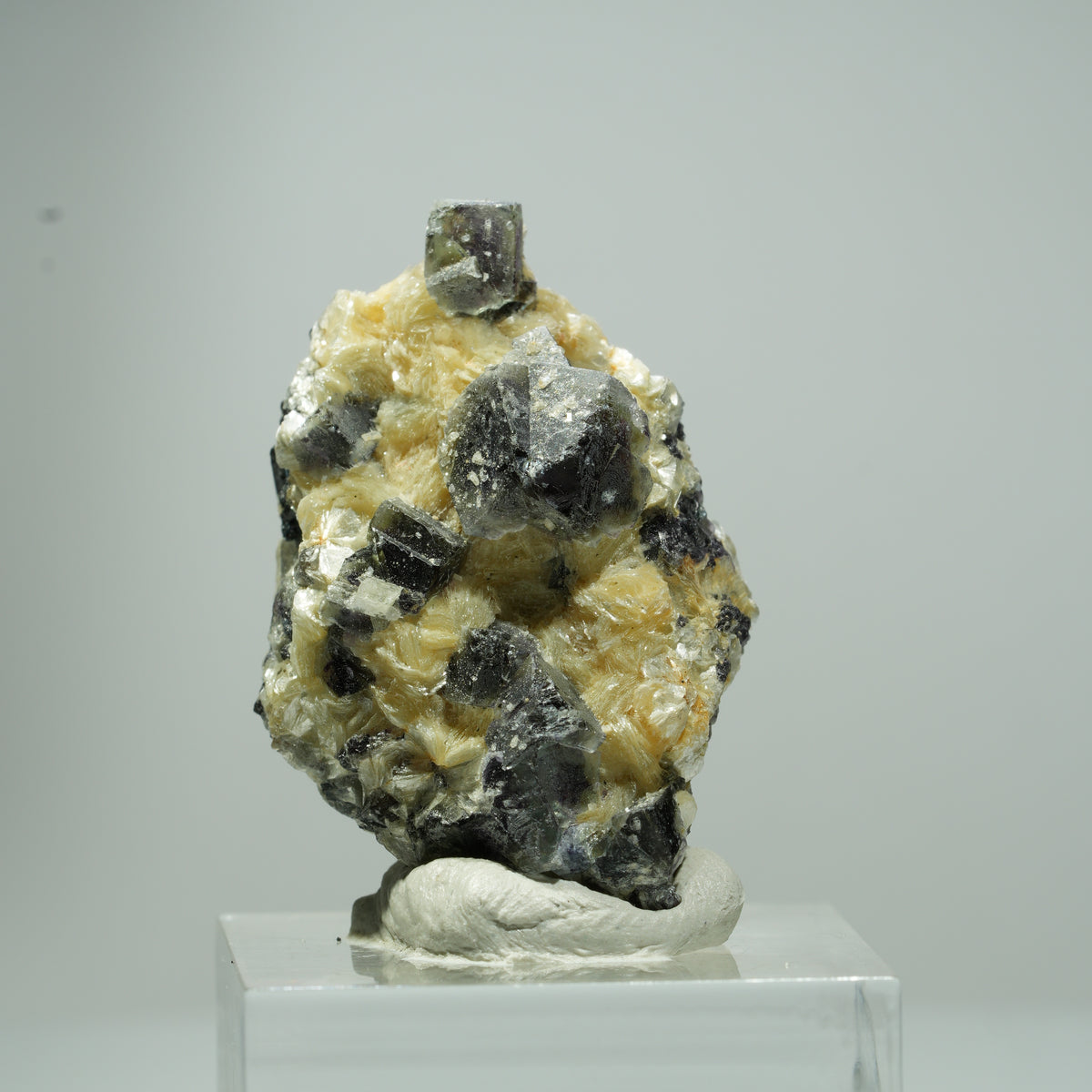 Fluorite fantôme colorée en cubes, tourmaline noire schorl, muscovite Erongo, Namibie 18*11*11mm #13541