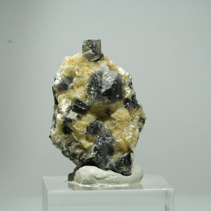 Fluorite fantôme colorée en cubes, tourmaline noire schorl, muscovite Erongo, Namibie 18*11*11mm #13541