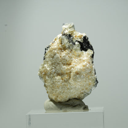 Fluorite fantôme colorée en cubes, tourmaline noire schorl, muscovite Erongo, Namibie 18*11*11mm #13541