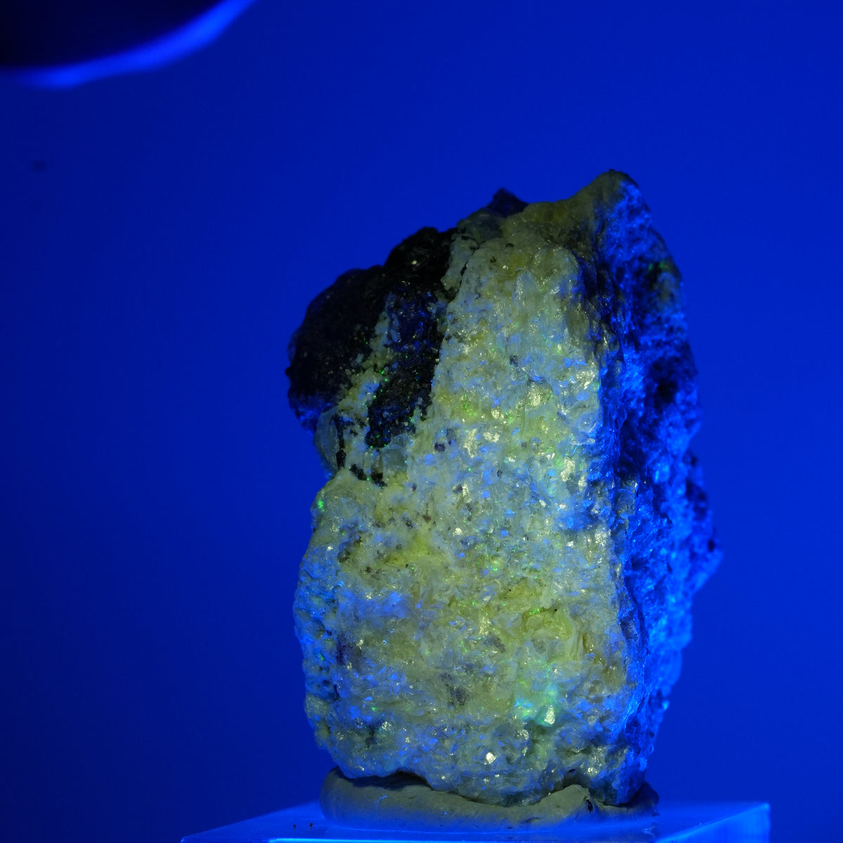 Fluorite fantôme hexagonal, tourmaline schorl, muscovite, hyalite Erongo, Namibie 19*14*12mm #13547