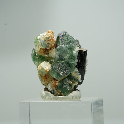 Phantom Fluorit hexagonal, Schörl Turmalin, Muskovit Erongo, Namibia 14*13*12mm #13549
