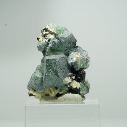 Phantom Fluorit Würfel, Schörl Turmalin, Muskovit Erongo, Namibia 15*14*10mm #13550
