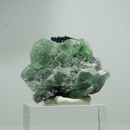 Phantom Fluorit hexagonal, Schörl Turmalin Stufe Erongo, Namibia 18*16*12mm #13551