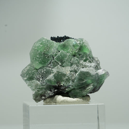 Phantom Fluorit hexagonal, Schörl Turmalin Stufe Erongo, Namibia 18*16*12mm #13551