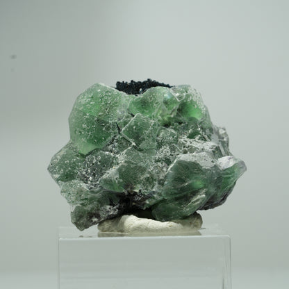 Phantom Fluorit hexagonal, Schörl Turmalin Stufe Erongo, Namibia 18*16*12mm #13551