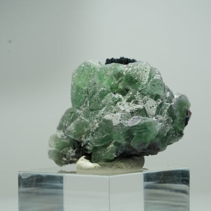 Phantom Fluorit hexagonal, Schörl Turmalin Stufe Erongo, Namibia 18*16*12mm #13551