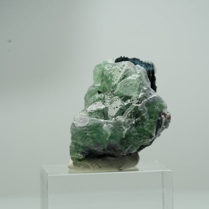 Phantom Fluorit hexagonal, Schörl Turmalin Stufe Erongo, Namibia 18*16*12mm #13551