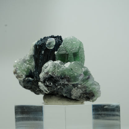 Phantom Fluorit hexagonal, Schörl Turmalin Stufe Erongo, Namibia 18*16*12mm #13551
