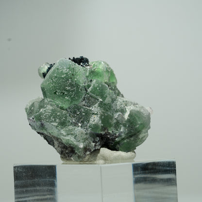 Phantom Fluorit hexagonal, Schörl Turmalin Stufe Erongo, Namibia 18*16*12mm #13551
