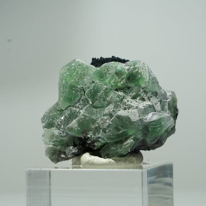 Phantom Fluorit hexagonal, Schörl Turmalin Stufe Erongo, Namibia 18*16*12mm #13551