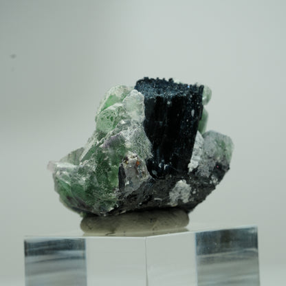Phantom Fluorit hexagonal, Schörl Turmalin Stufe Erongo, Namibia 18*16*12mm #13551
