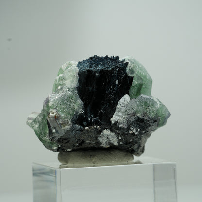 Phantom Fluorit hexagonal, Schörl Turmalin Stufe Erongo, Namibia 18*16*12mm #13551