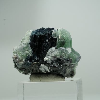 Phantom Fluorit hexagonal, Schörl Turmalin Stufe Erongo, Namibia 18*16*12mm #13551