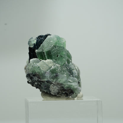 Phantom Fluorit hexagonal, Schörl Turmalin Stufe Erongo, Namibia 18*16*12mm #13551