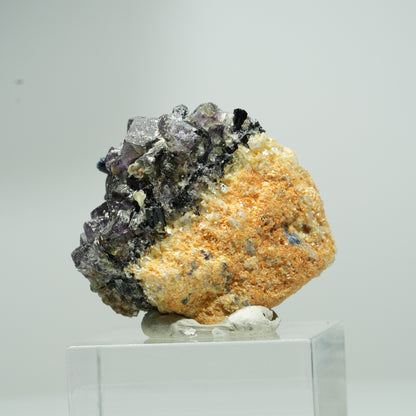 Fluorite fantôme colorée en dés, tourmaline schorl, muscovite Erongo, Namibie 15*14*12mm #13552