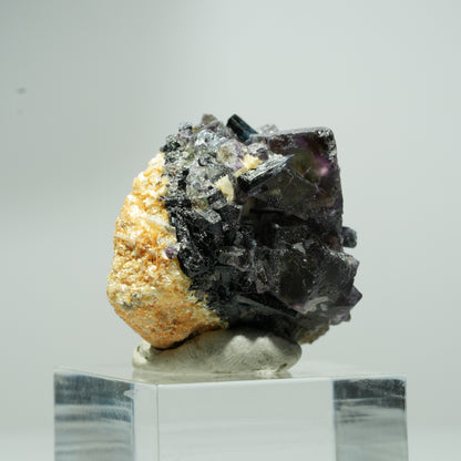 Fluorite fantôme colorée en dés, tourmaline schorl, muscovite Erongo, Namibie 15*14*12mm #13552