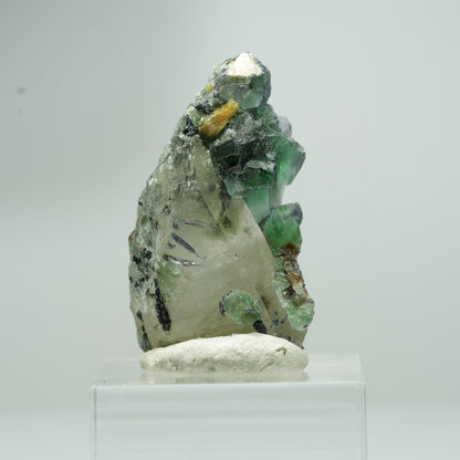 Phantom Fluorit, Schörl Turmalin, Hyalit, Rauchquarz, Muskovit Erongo, Namibia 18*11*8mm #13553