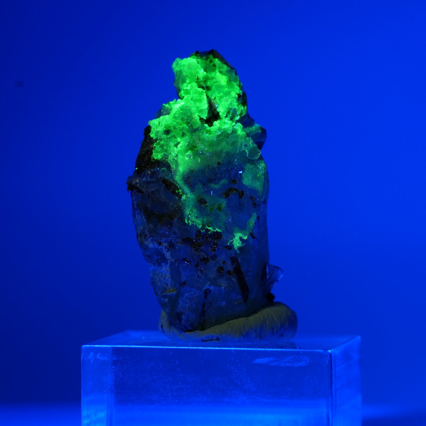 Phantom Fluorit, Schörl Turmalin, Hyalit, Rauchquarz, Muskovit Erongo, Namibia 18*11*8mm #13553