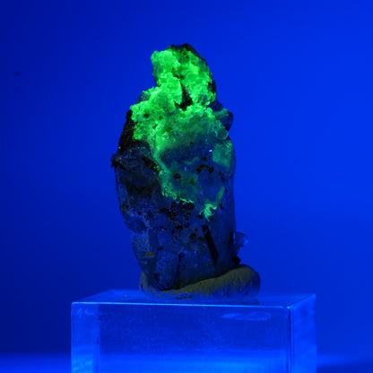 Phantom Fluorit, Schörl Turmalin, Hyalit, Rauchquarz, Muskovit Erongo, Namibia 18*11*8mm #13553