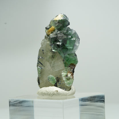 Phantom Fluorit, Schörl Turmalin, Hyalit, Rauchquarz, Muskovit Erongo, Namibia 18*11*8mm #13553