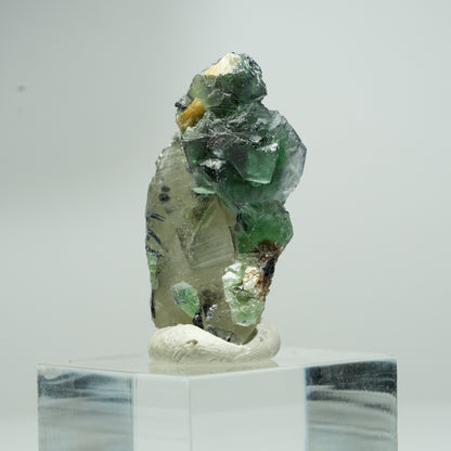 Phantom Fluorit, Schörl Turmalin, Hyalit, Rauchquarz, Muskovit Erongo, Namibia 18*11*8mm #13553
