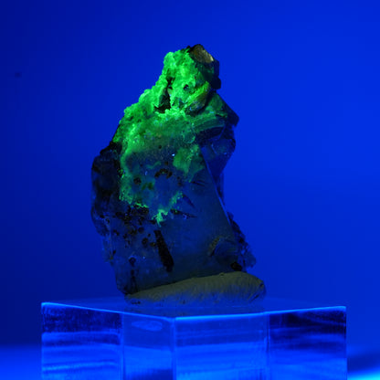 Phantom Fluorit, Schörl Turmalin, Hyalit, Rauchquarz, Muskovit Erongo, Namibia 18*11*8mm #13553