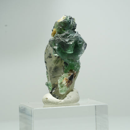 Phantom Fluorit, Schörl Turmalin, Hyalit, Rauchquarz, Muskovit Erongo, Namibia 18*11*8mm #13553