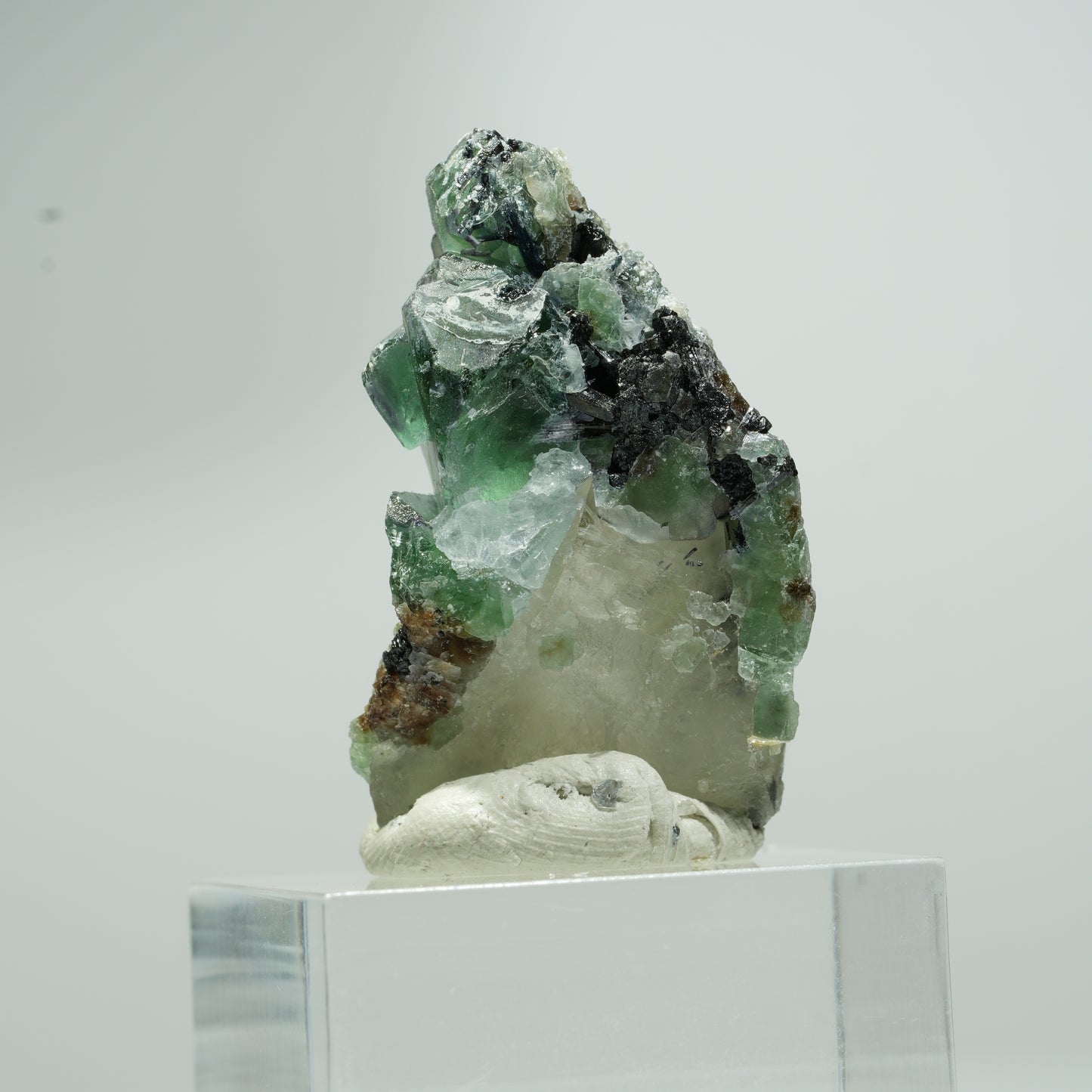 Phantom Fluorit, Schörl Turmalin, Hyalit, Rauchquarz, Muskovit Erongo, Namibia 18*11*8mm #13553