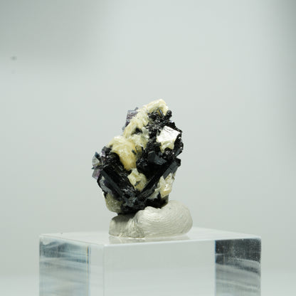 Bunte Phantom Fluorit Würfel, Schörl Turmalin, Muskovit Erongo, Namibia 12*8*7mm #13554