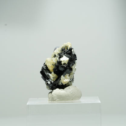 Bunte Phantom Fluorit Würfel, Schörl Turmalin, Muskovit Erongo, Namibia 12*8*7mm #13554