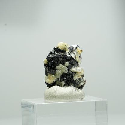 Bunte Phantom Fluorit Würfel, Schörl Turmalin, Muskovit Erongo, Namibia 12*8*7mm #13554