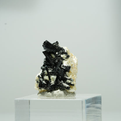 Schöne Schörl Turmalin, Muskovit Stufe Erongo, Namibia 11*10*9mm #13555