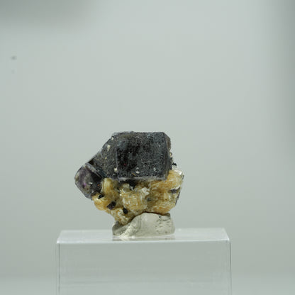 Bunte Phantom Fluorit Würfel, Schörl Turmalin, Muskovit Erongo, Namibia 9*8*7mm #13556