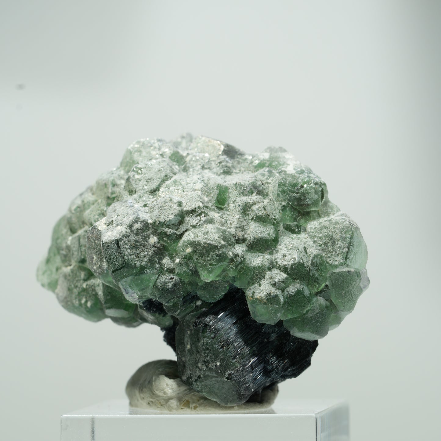 Seltene Phantom Fluorit Würfel, Schörl Turmalin Stufe Erongo, Namibia 22*17*12mm #13559