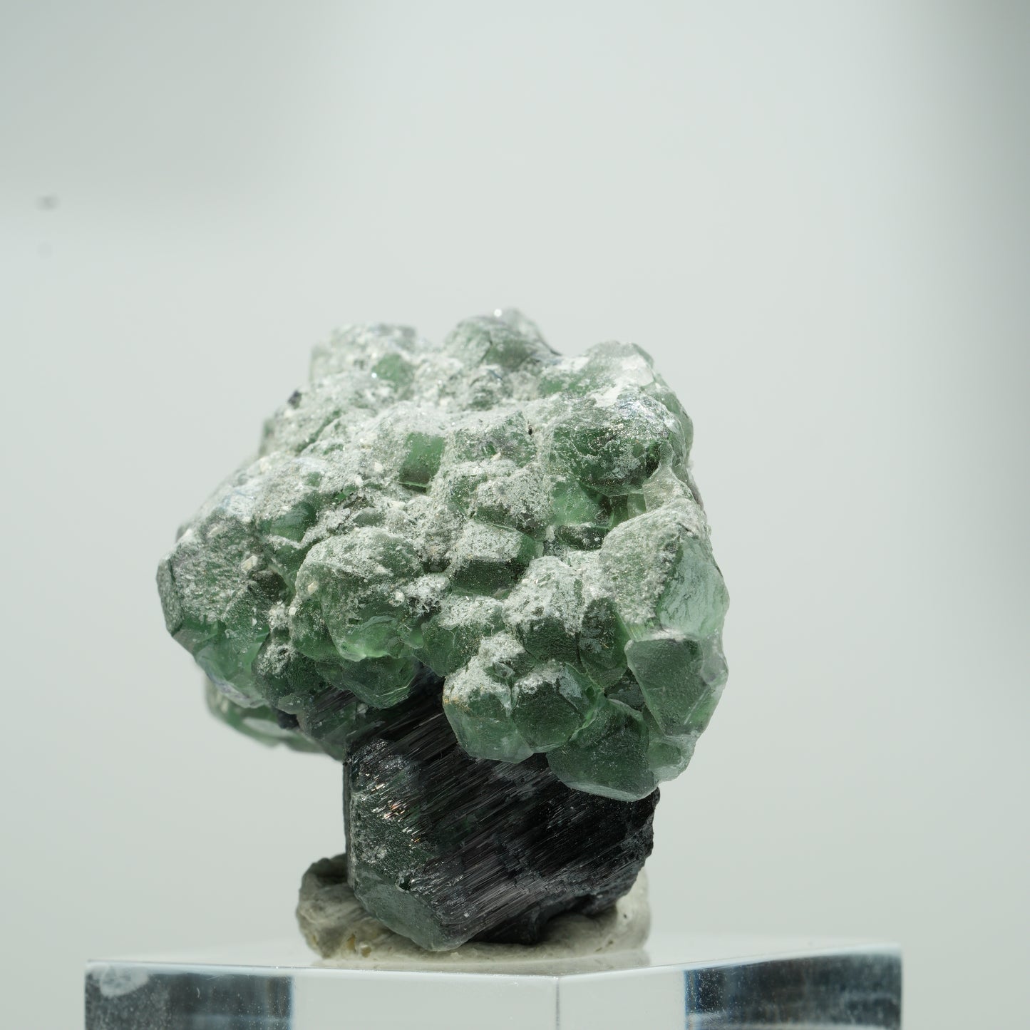 Seltene Phantom Fluorit Würfel, Schörl Turmalin Stufe Erongo, Namibia 22*17*12mm #13559